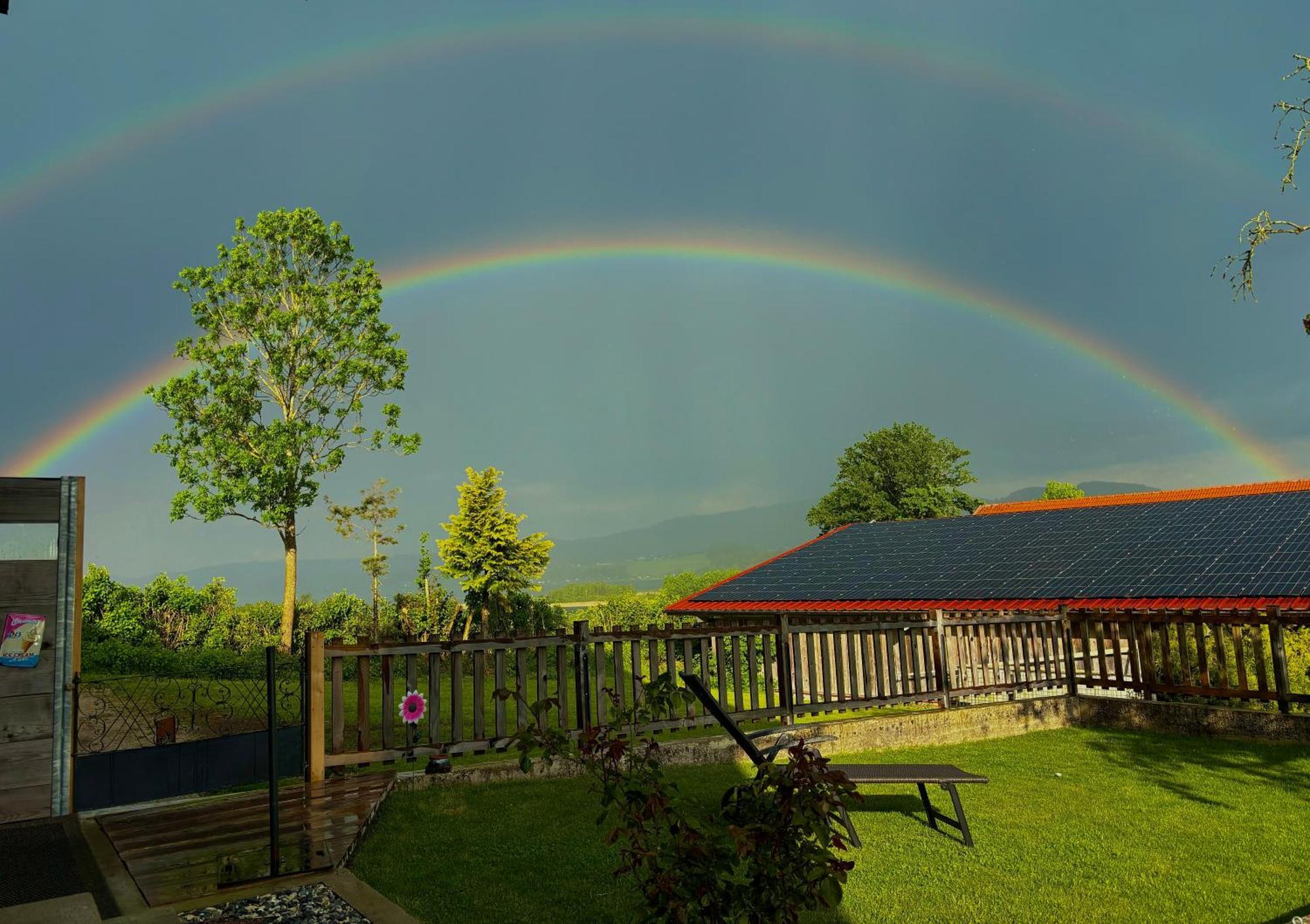 Gaesthaus "Seeblick" Seekirchen am Wallersee Kültér fotó